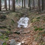 Erstes kleines Altschneefeld