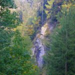 Frühherbstliche Farbspiele