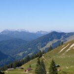 Blick über das Heutal zur Winklmoosalm, im Hintergrund der Wilde Kaiser