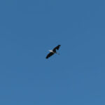 So frei wie man sein kann