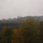 Nebelschwaden am Schafberg