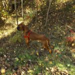 Karlie kann auch stillhalten