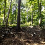 Schlimmer wird es nicht Schlimmer wird es nicht