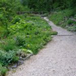 Den Alpenblumengarten hätte ich mir aufgrund der Beschilderung im Tal größer vorgestellt Den Alpenblumengarten hätte ich mir aufgrund der Beschilderung im Tal größer vorgestellt
