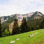 Trotz der südseitigen Ausrichtung liegt in den Karen noch Schnee Trotz der südseitigen Ausrichtung liegt in den Karen noch Schnee