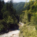 Weiter oben schon noch