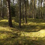 Altstraße oder Stollenabsenkung? Weitere Forschungen sind nötig