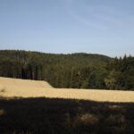 Auf diesem Gipfelchen versteckt sich die Burgruine Havlovice