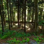 Ganz andere Lichtverhältnisse als an den beiden letzten Tagen