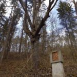 Vielgesichtiger Baum über der vierten Kreuzwegstation