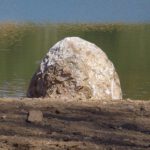 Nichtatomares Fels-Ei