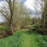 In den Pfatterauen In den Pfatterauen