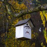 Ich würde als Vogel nicht in diesem Häuschen nisten wollen