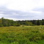 Auenlandschaft östlich von Prášily