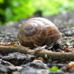 Ja, ich lebe noch, aber lass mich gefälligst in Ruhe! Ja, ich lebe noch, aber lass mich gefälligst in Ruhe!