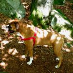 Sonne auf dem Rücken ist ja ganz ok...