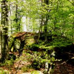 Der höchste Punkt Der höchste Punkt