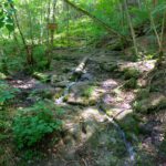 Immer wieder kommen kleine Bächlein von den Seiten Immer wieder kommen kleine Bächlein von den Seiten