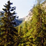 Eine Möglichkeit, die Felsabstürze der Reiteralm zu überwinden, wäre die Eisbergscharte