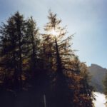 ...ist der Sonnenschein grenzenlos und ungetrübt