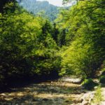 Schnell Füße waschen!