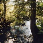 Lichtspiel im Abflussbach