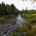 Wilde, wasserarme Moldau