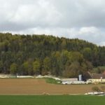 Wurmrausch mit dem Hinweg