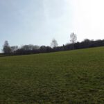 Sonnenüberfluteter Hang