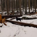 Milow freut sich darüber