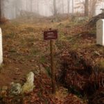 Schwarzachquelle Schwarzachquelle