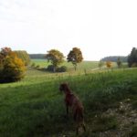 Karlie genießt die herbstliche Aussicht