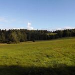 Wiesenlandschaft unterhalb der Silberhütte