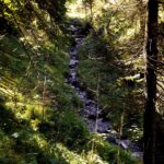 Kleines Seitenbacherl