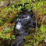 Es plätschert und rauscht Es plätschert und rauscht