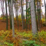 Es gibt sogar einen kleinen Ostgrat Es gibt sogar einen kleinen Ostgrat