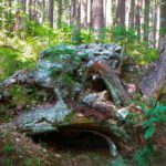 Lebensraum Lebensraum