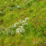 Warten auf mehr Licht