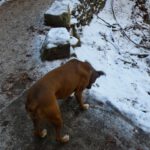 Schnee hilft auch gegen den Durst Schnee hilft auch gegen den Durst