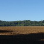 Aber gleich nach der ersten Kuppe sieht man vor allem Waldhügel - Kuppenjura halt