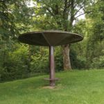 Nicht nur Schwandorf hat seinen Schwammerling