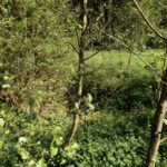 ...dieser ehemaligen Mühle