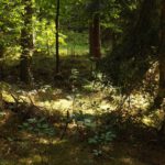 Dieser Graben ist altstraßenverdächtig