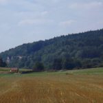 Alter Tannstein mit Dautersdorf