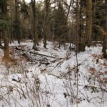 In den Gräben liegt noch etwas mehr Schnee