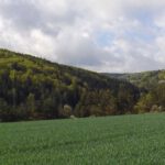 Im Oberpfälzer Jura