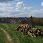 Rückblick auf Thalmassing Rückblick auf Thalmassing