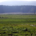 Frisch gedüngt Frisch gedüngt