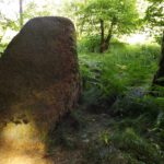 Mini-Churfirst Mini-Churfirst