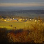 Grain in Pastellfarben